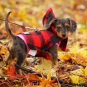 Susan Kirkman Germeroth's photo
