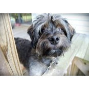 Megan Shore's photo