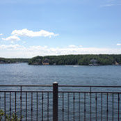 Lily Esposito's photo