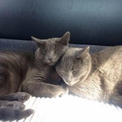 Jill Yensen's photo