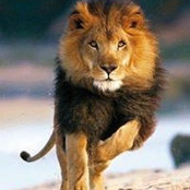 Kimberly Lynch's photo
