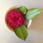 Judy StJohn's photo
