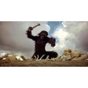 Michael Leone's photo