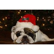 John Cucinotta's photo