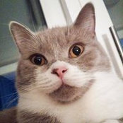 Krol Déさんの写真