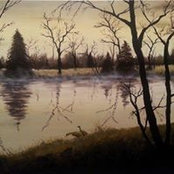 Photo de Michele Jones