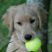 Kelly McChesney's photo