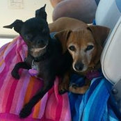 Jennifer Becksvoort's photo