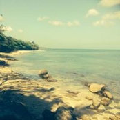 Judy Woods's photo