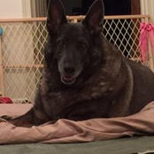 Foto von Janice Martin