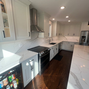 Chicago Kitchen/Dining Renovation