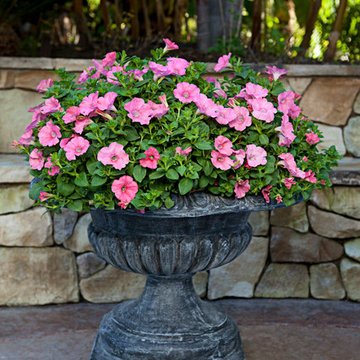 Scalloped and Ribbed Urn