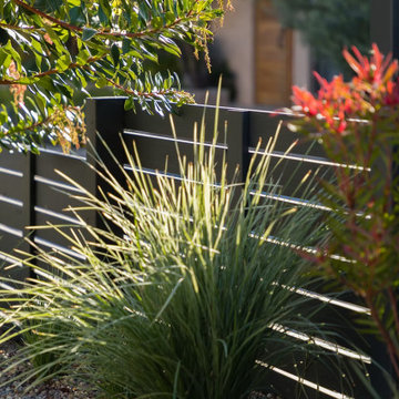 Layered greenery and modern fencing