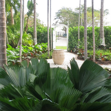 Miami Beach Residence