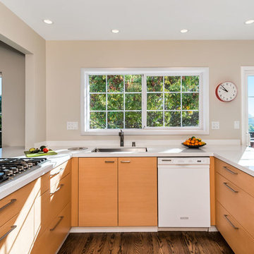 Greenbrae remodel