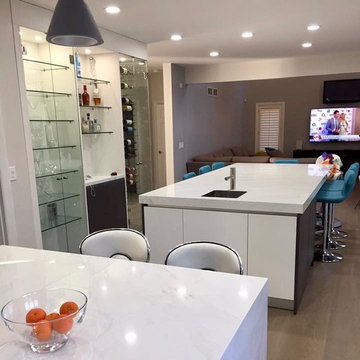 Contemporary Kitchen Remodel