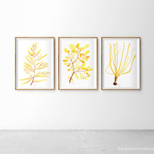 déco murale & accessoires