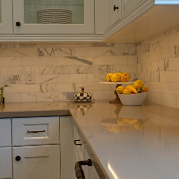 Palmer Project - Whole House Remodel