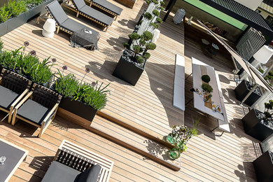 Design ideas for a contemporary rooftop deck in Lyon with a container garden.