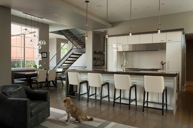 Kitchen - contemporary kitchen idea in Chicago