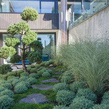 Chelmsford Frontyard
