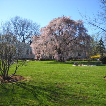Hillsborough, NJ. Low Maintenance Landscape, Garden Art, Pool and FIre Pit
