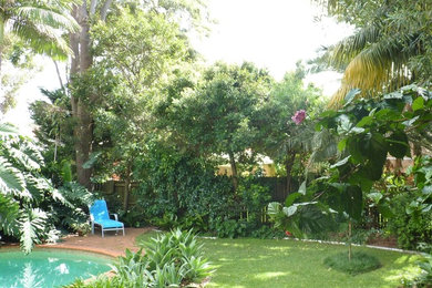 This is an example of a tropical backyard garden in Sydney.