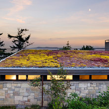 green roof