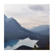 Mary Malone Johnson's photo
