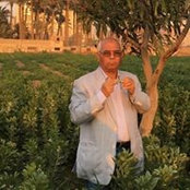 Mahmoud Hussein's photo