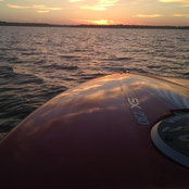 laurisayre's photo