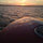 laurisayre
