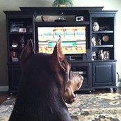 Joe Leichtman's photo