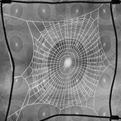 Karina Stevens's photo