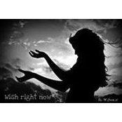 M Pl's photo
