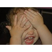 Barb Parcell's photo