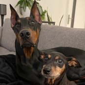 Ray K's photo