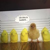 Catherine Johnson's photo