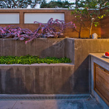 Japanese Garden