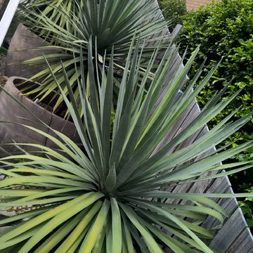Queensland Residentials