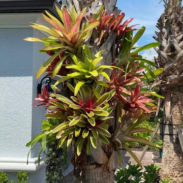 Making a House a Home in Florida!