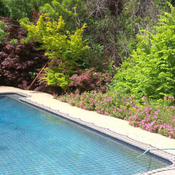 Monte Sereno Contemporary Elegance
