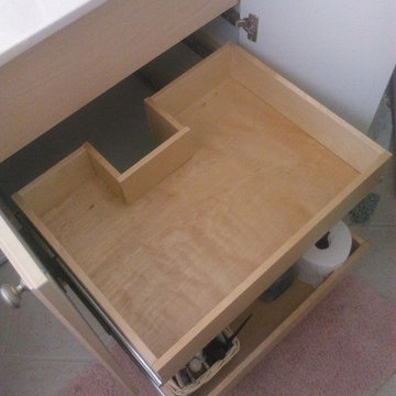 Existing cabinet and vanity pull out shelving