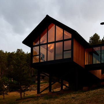 Pine Tree House