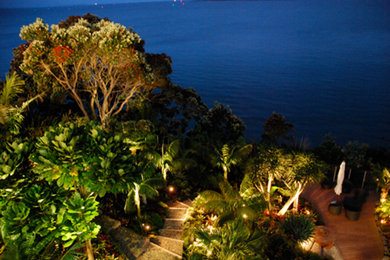 Photo of a tropical garden in Auckland.