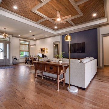 Living Room & Ceiling