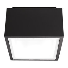 Golf Course Lights