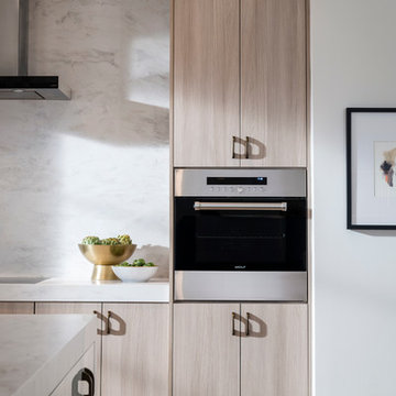 Contemporary Kitchen with Metropolis Door in Silver Elm