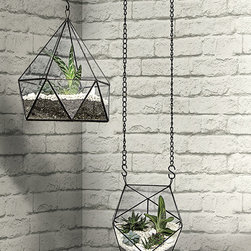 York Walls - Wallpaper - Products