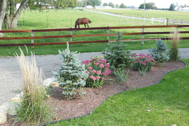 This is an example of a small traditional full sun front yard mulch landscaping in Other for summer.